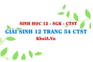 Giải Sinh 12 trang 54 Chân trời Sáng tạo